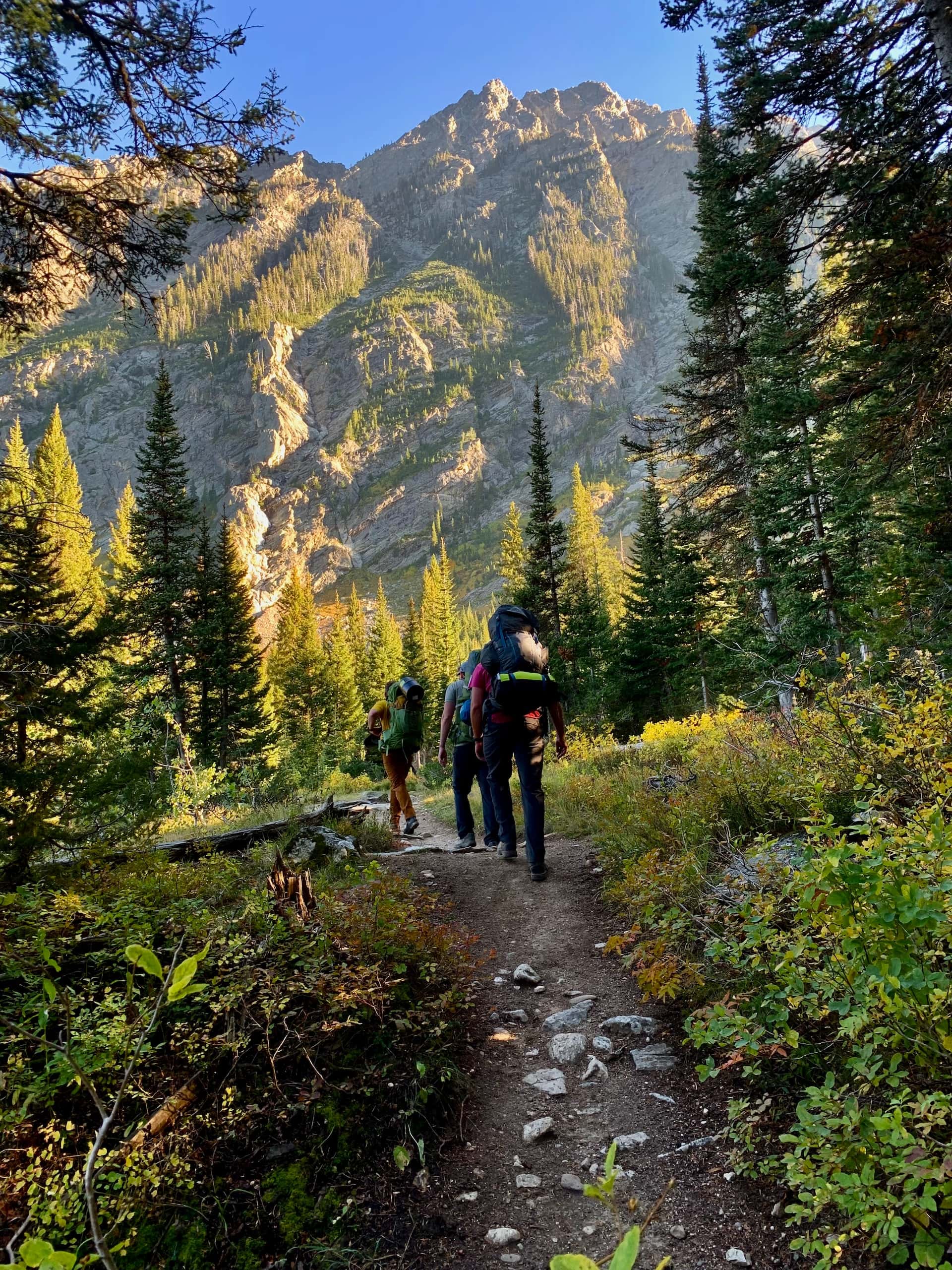 Four hikers walking in the mountains through beautiful landscape.